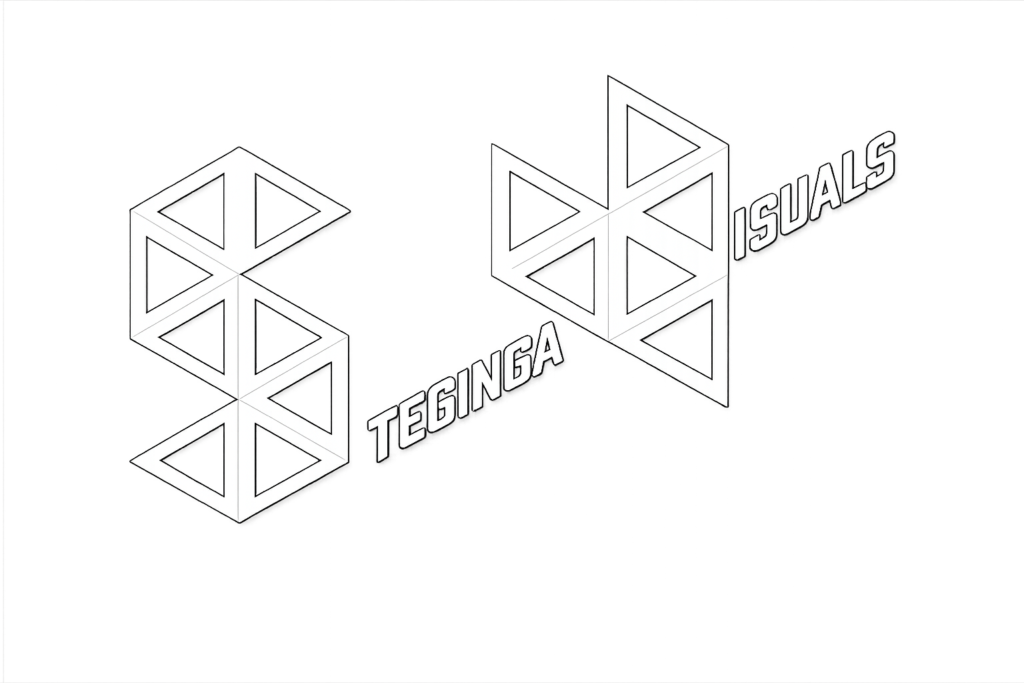 steginga visuals logo wit2022png